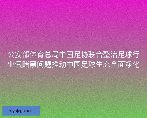 公安部体育总局中国足协联合整治足球行业假赌黑问题推动中国足球生态全面净化